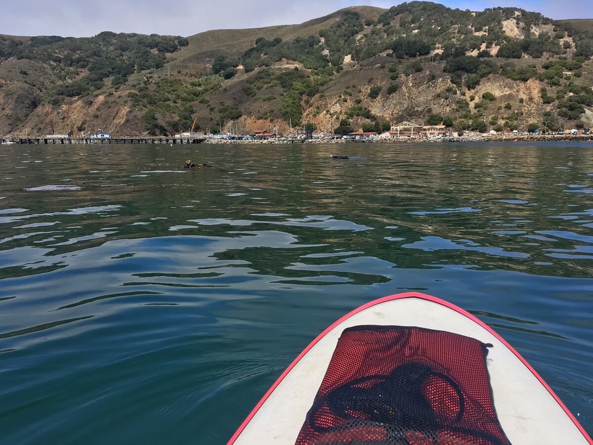 Paddleboarding in Avila Beach, CA