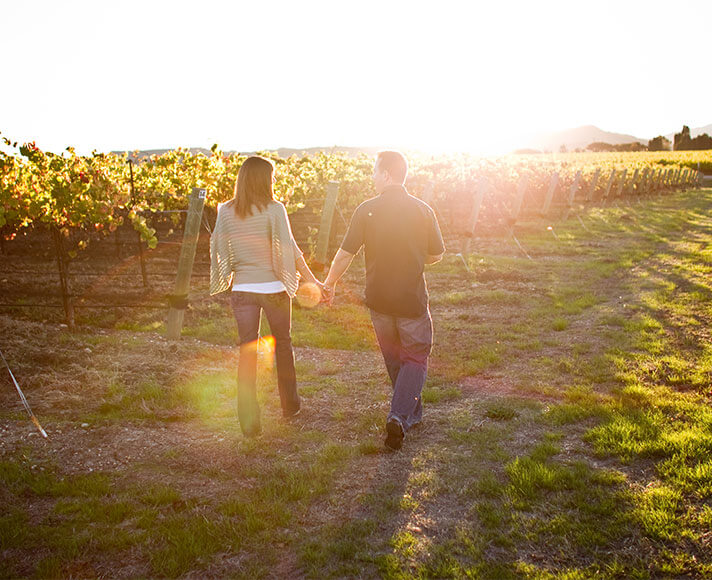 A couple strolling through a vineyard holding hands