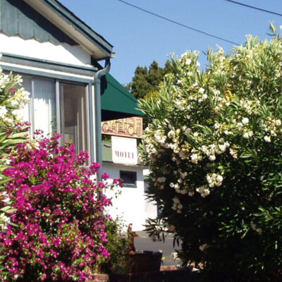 Garden outside of Economy Motel