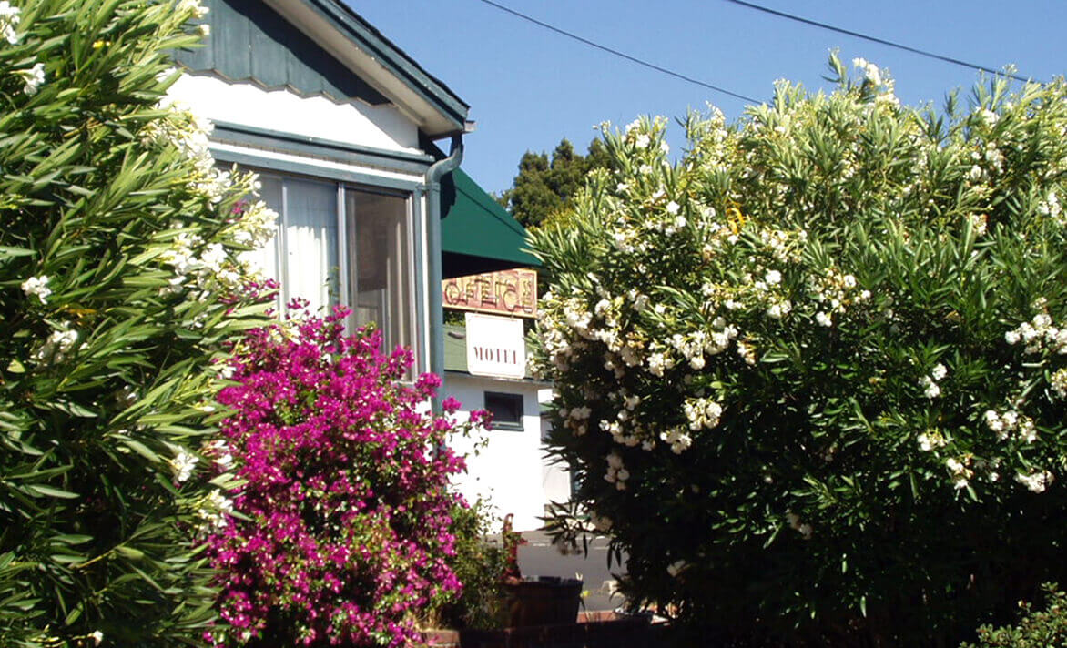 Garden outside of Economy Motel