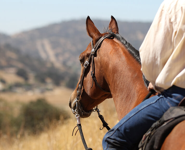 A man goes horseback riding in San Luis Obispo, CA