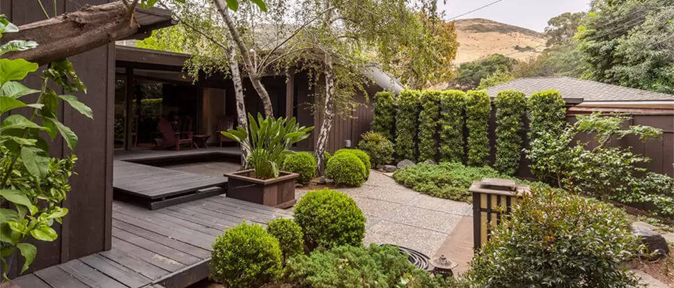 Backyard and plants of Mid Century Design, walk to town, 3 rooms in San Luis Obispo, California