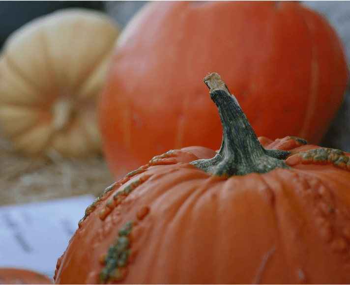 A pumpkin in the San Luis Obispo Mission Plaza