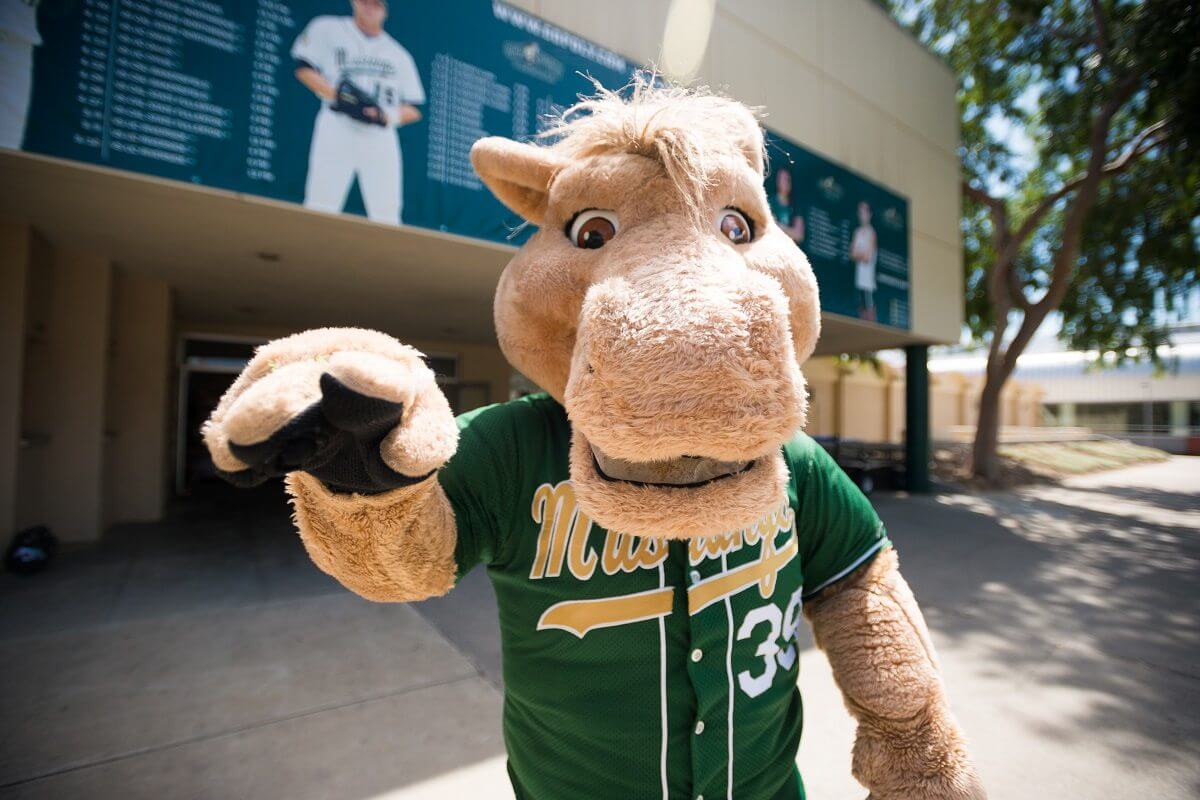 The Cal Poly Mustang Mascot