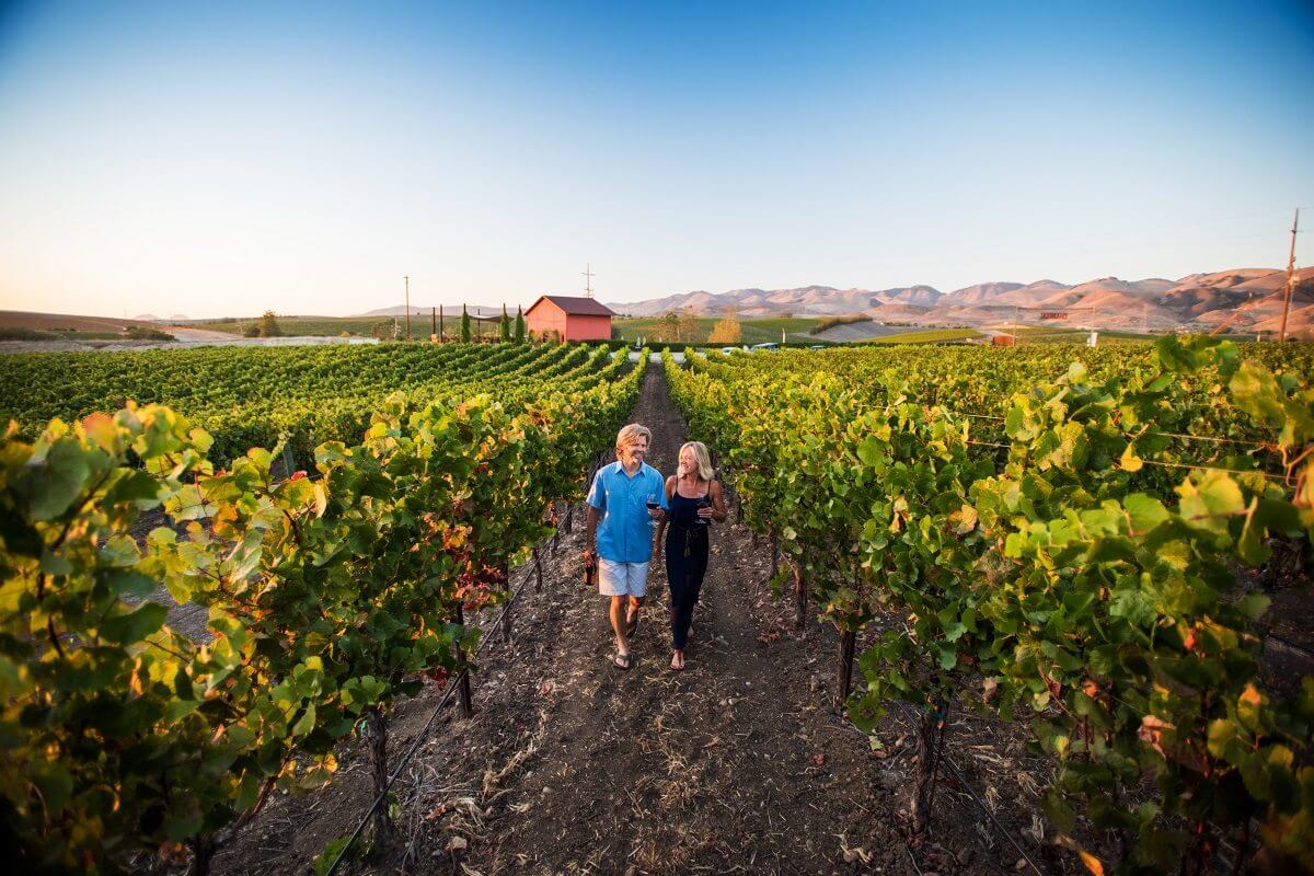 A couple exploring a vineyard in San Luis Obispo