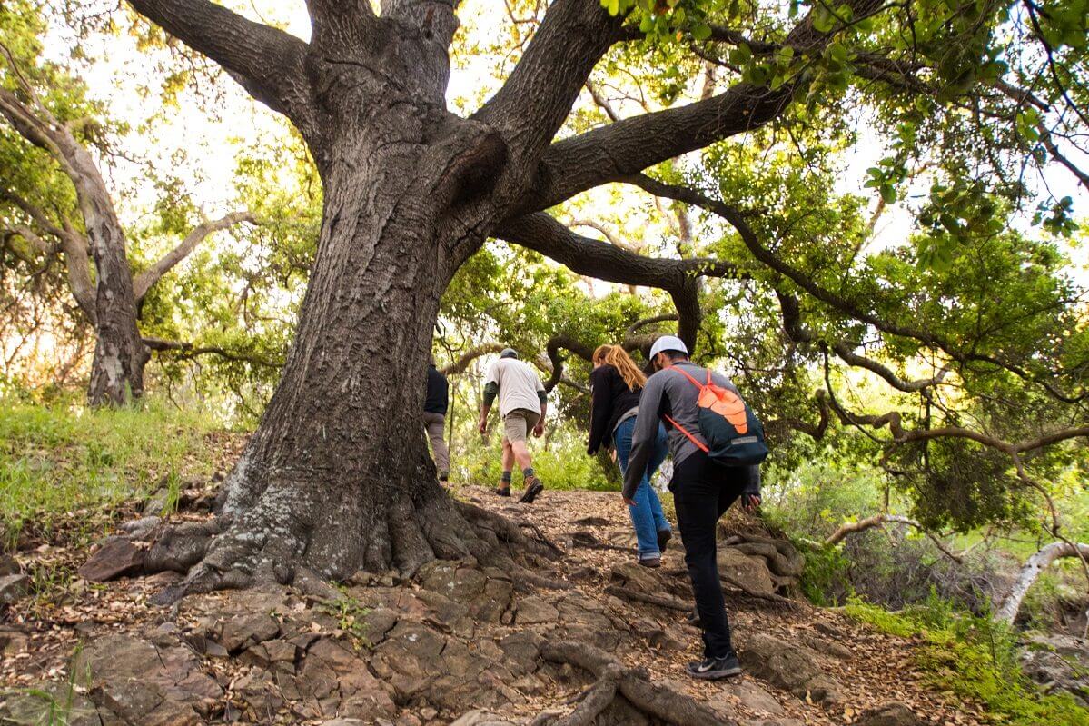 Group Hiking Reservoir Canyon