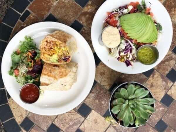 Salad and Vegan burrito with a succulent