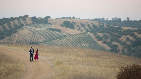 Destination Wedding Vineyard