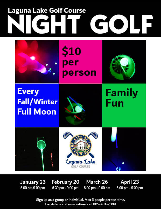 Night Golf Infographic