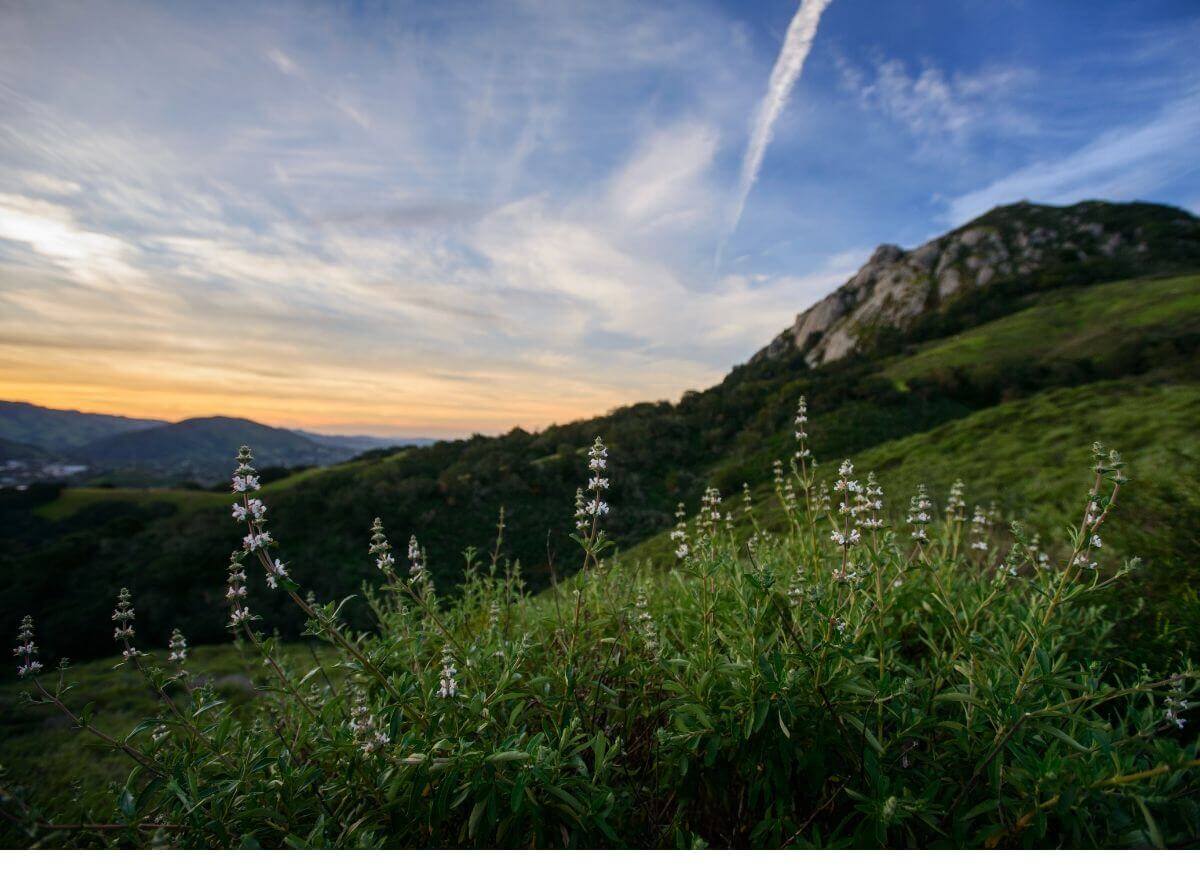 A setting sun over the green hills of San Luis Obispo