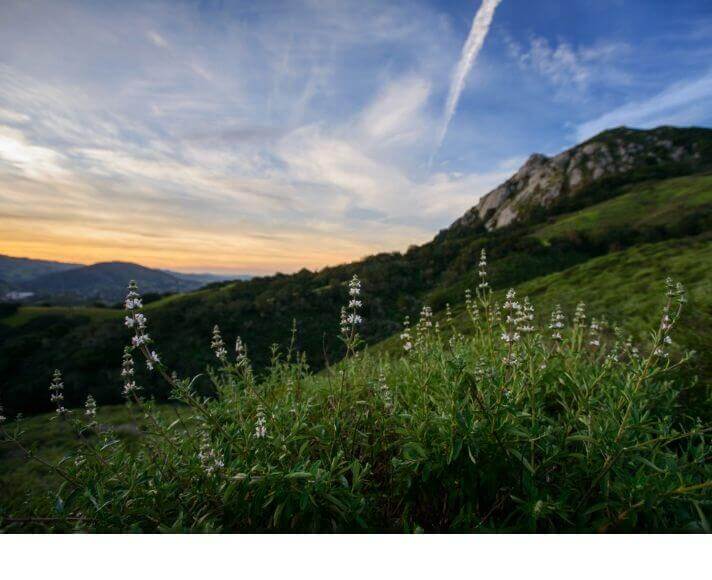 Twilight after the sunset over the green hills of San Luis Obispo.