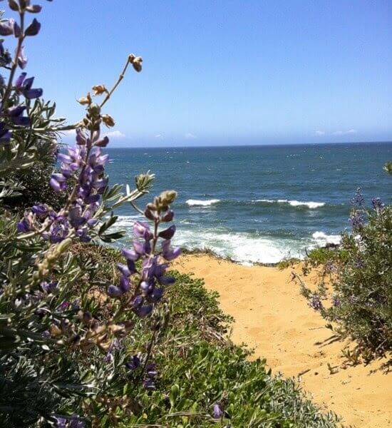 montana-de-oro-state-park-los-osos-ca