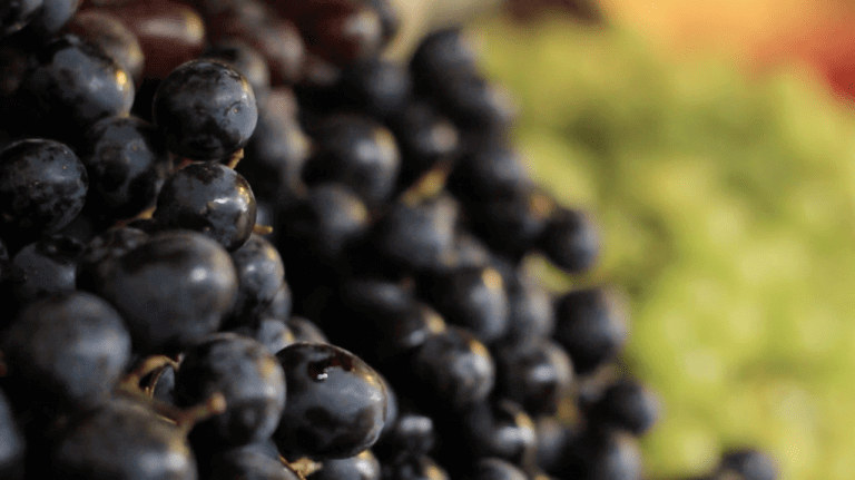 Close up of Edna Valley grapes.