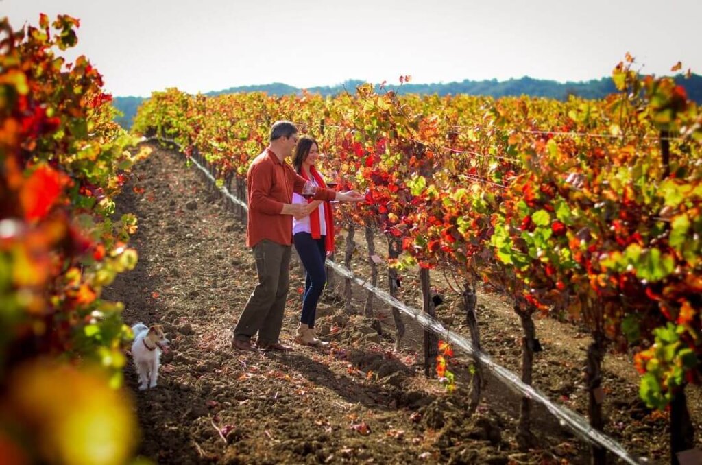 Couple walking through vineyards in San Luis Obispo.