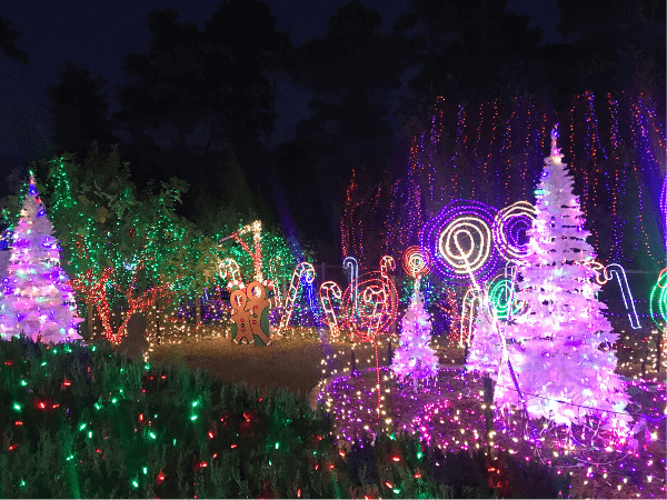 Lights at the Cambria Christmas Market