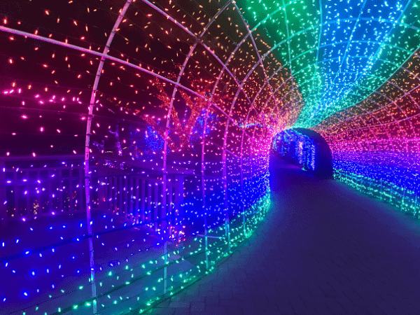 Light up Tunnel at Cambria Christmas Market