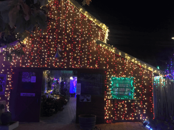 Nursery shop at the Cambria Christmas Market