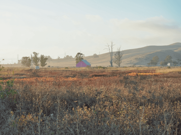 Pink Barn in San Luis Obiso