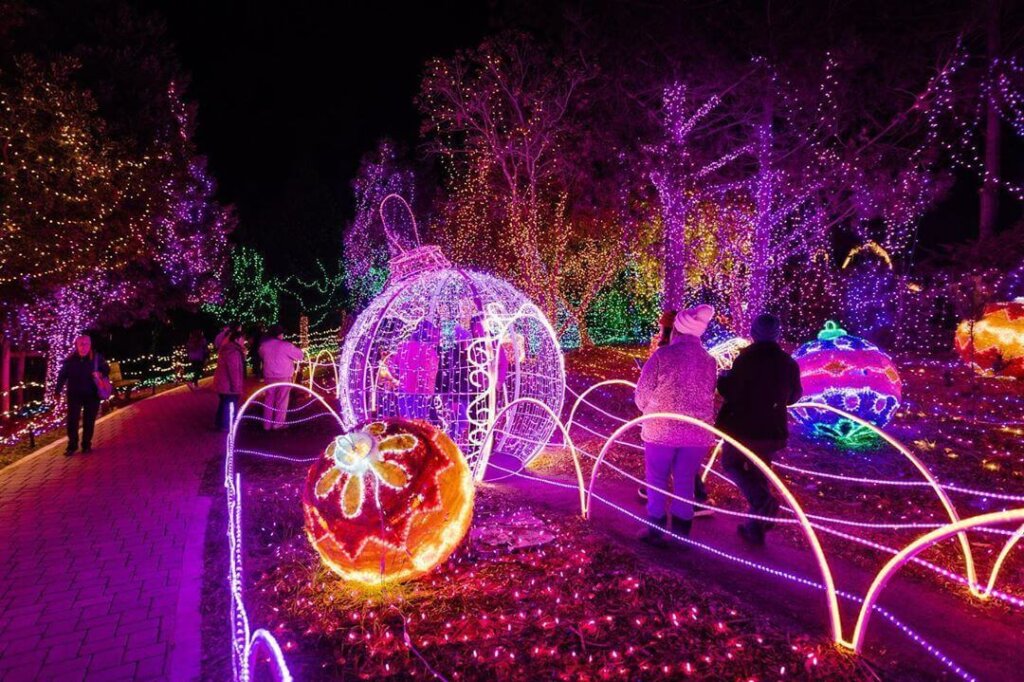 Colorful Christmas lights at the Cambria Christmas Market.