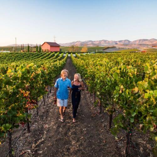 Chamisal Vineyards SLO