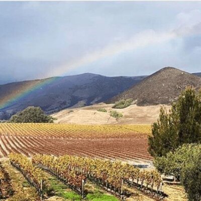 A rainbow over the vineyard at Tolosa Winery in San Luis Obispo.