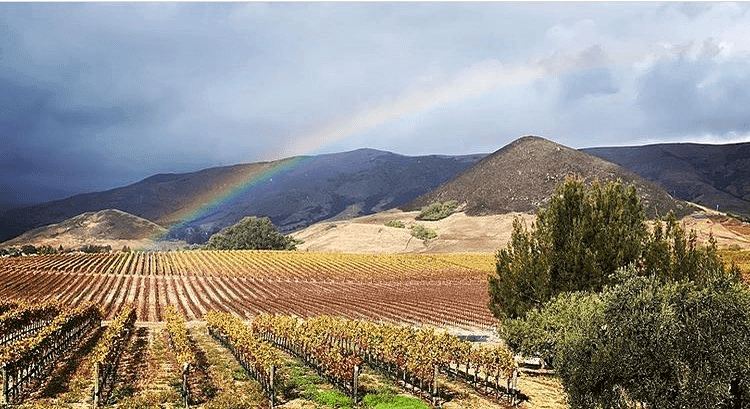 Fresh Press From the Wine History Project of San Luis Obispo County