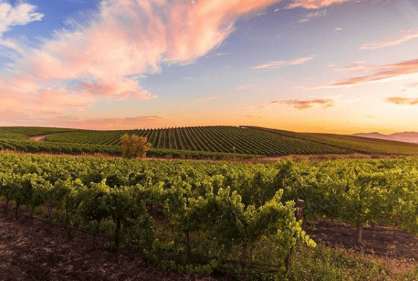 Sunset over Edna Valley in San Luis Obispo 