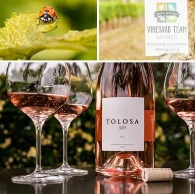 Tolosa Winery Wines picture Collage