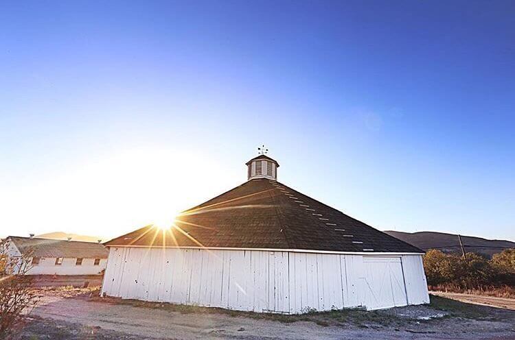 Slo octagon barn - alernasgenie