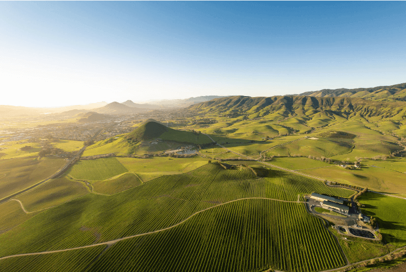 SLO Coast Wine