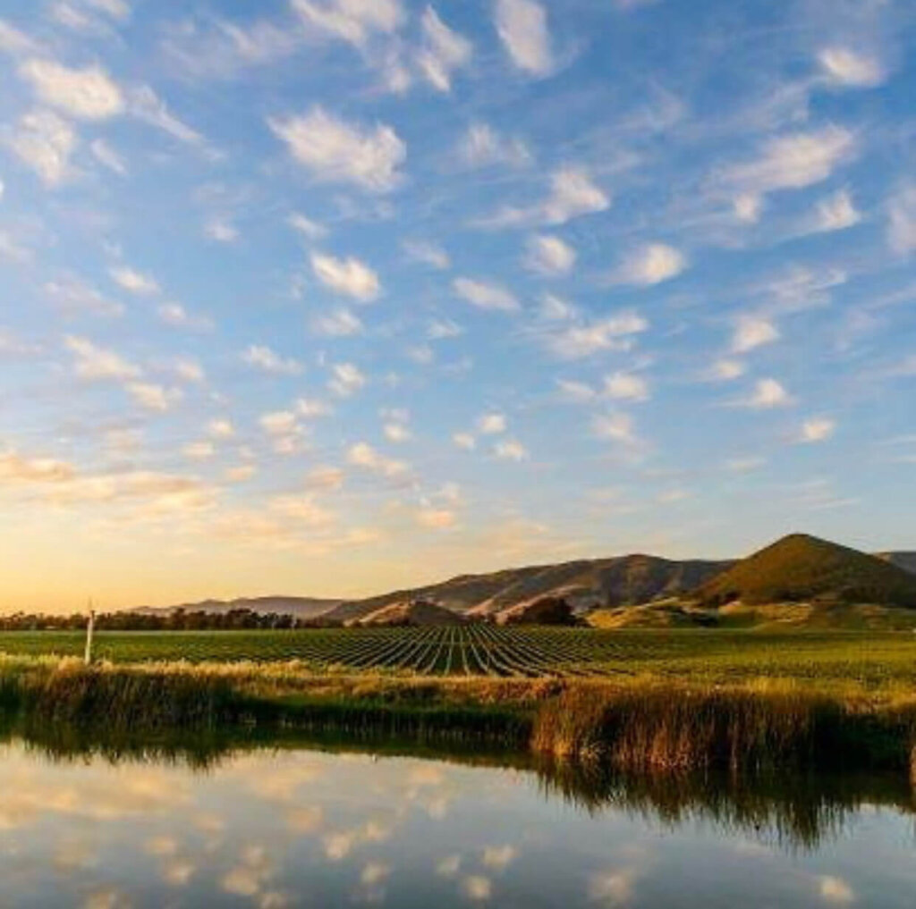 SLO Coast Wine