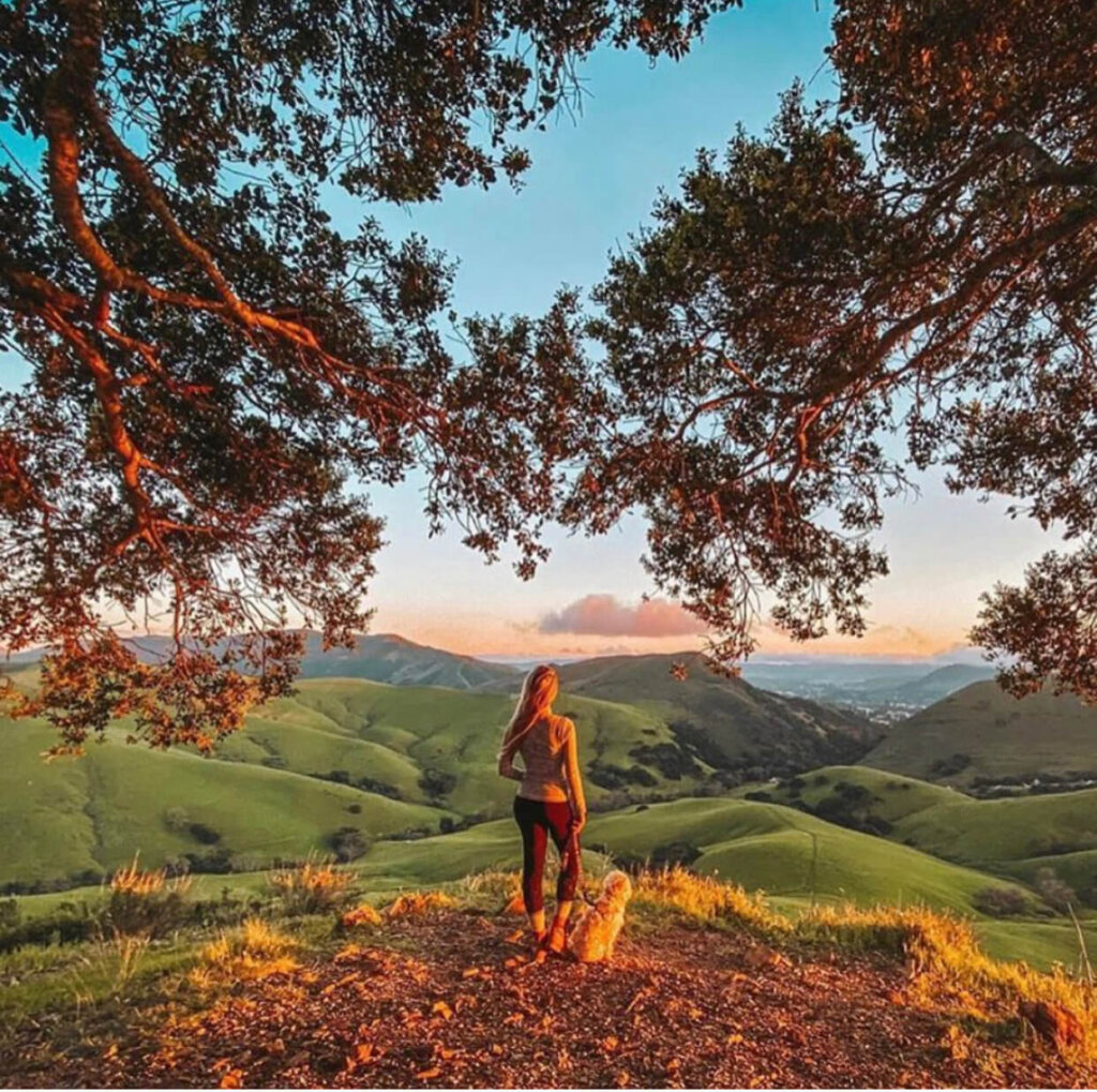 Serenity Swing Hike 