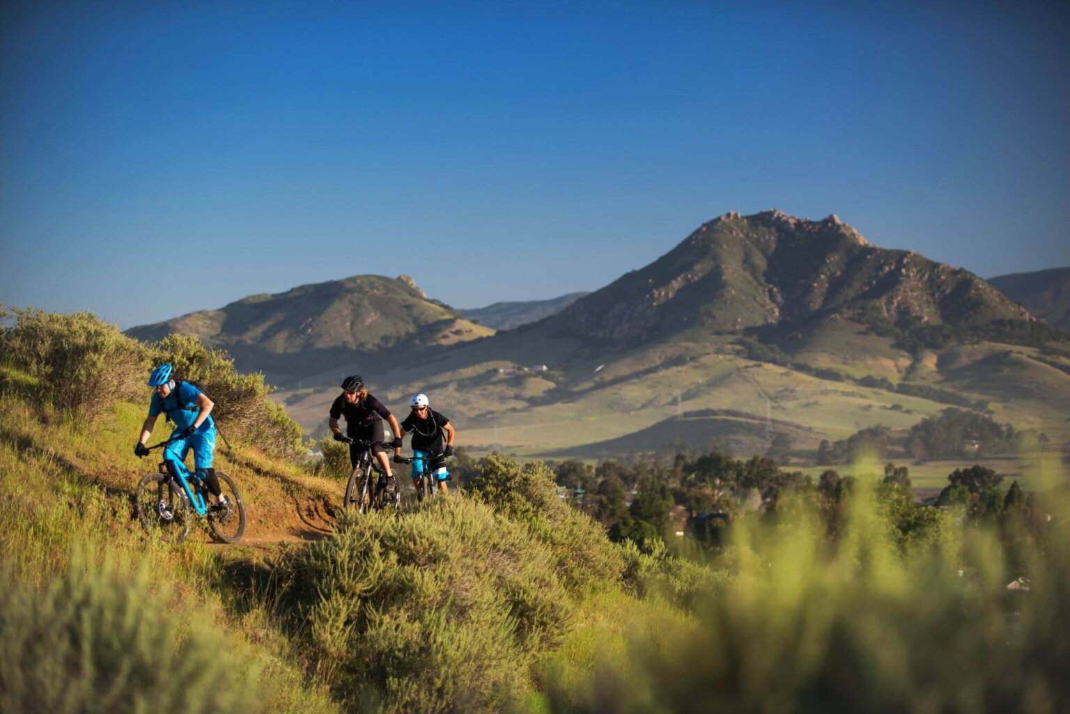 All About Bob Jones Bike Trail in San Luis Obispo | Visit SLO