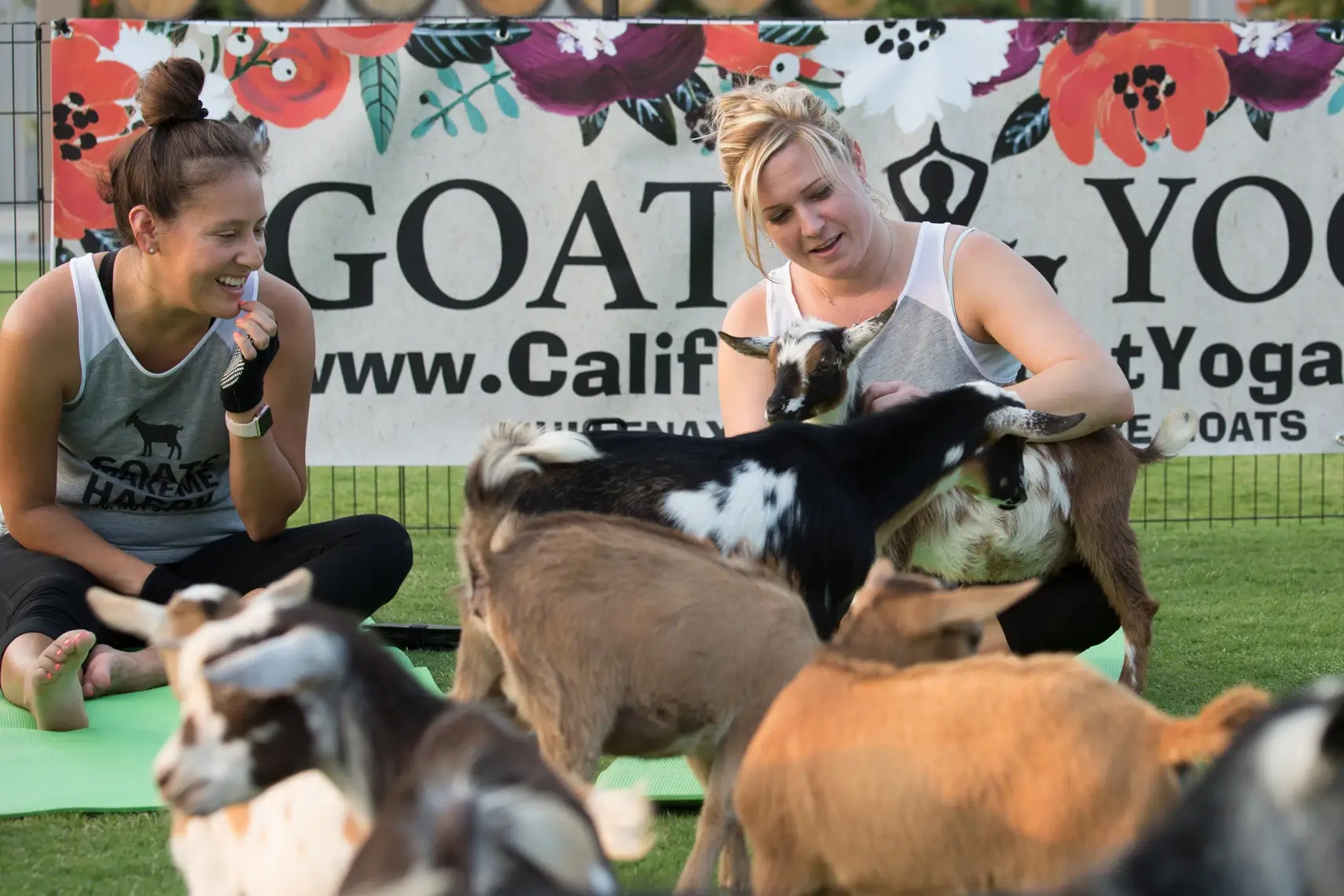 California Goat Yoga