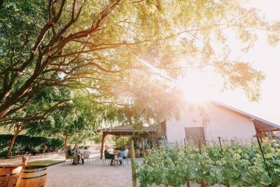 wineries-in-slo