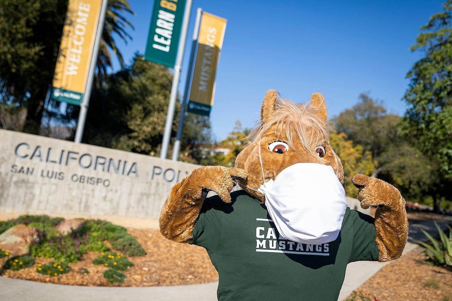 Welcome Back Cal Poly Mustangs Visit SLO Welcome Back Cal Poly Mustangs Visit SLO