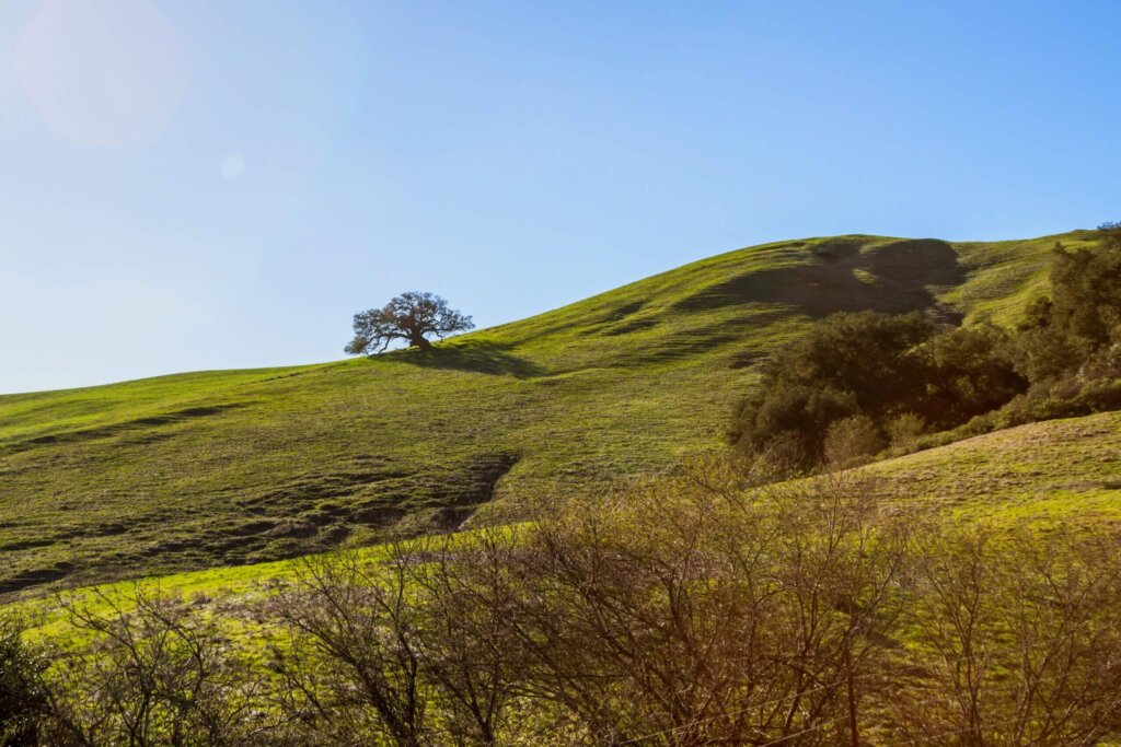 Madonna and LOVR Irish Hills Nature Preserve San Luis Obispo California - Visit SLO