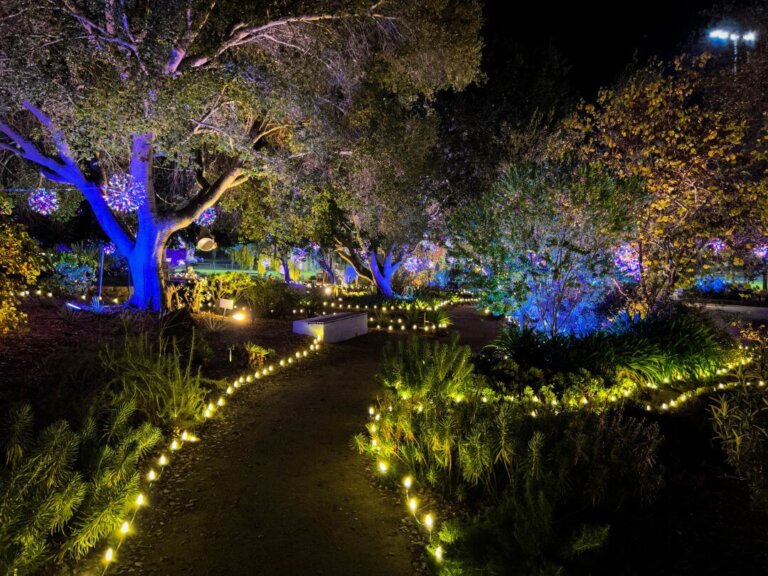 SLO Botanical Garden’s Nature Lights