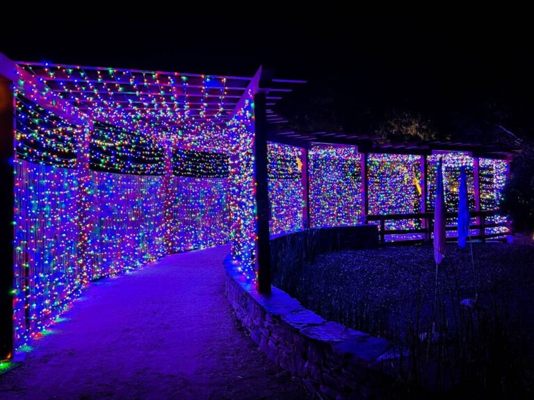 Nature Lights at the SLO Botanical Garden