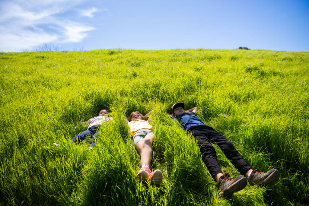 Family of children laying in the grass