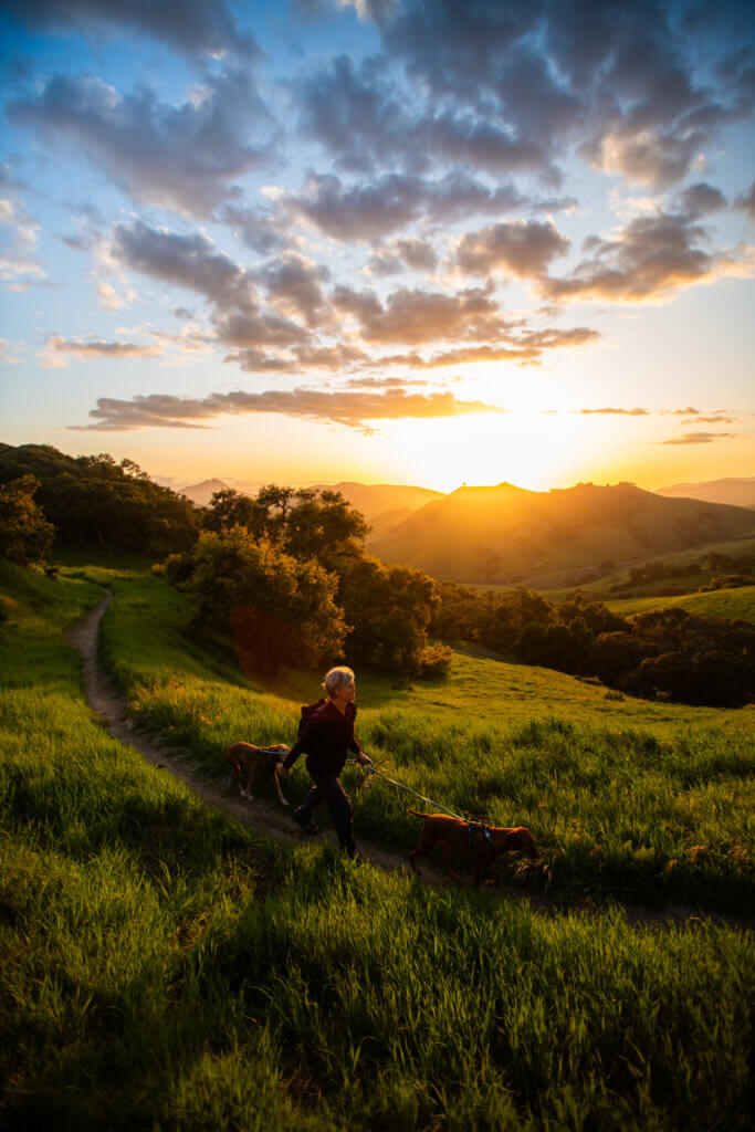 Beautiful SLO summer landscape