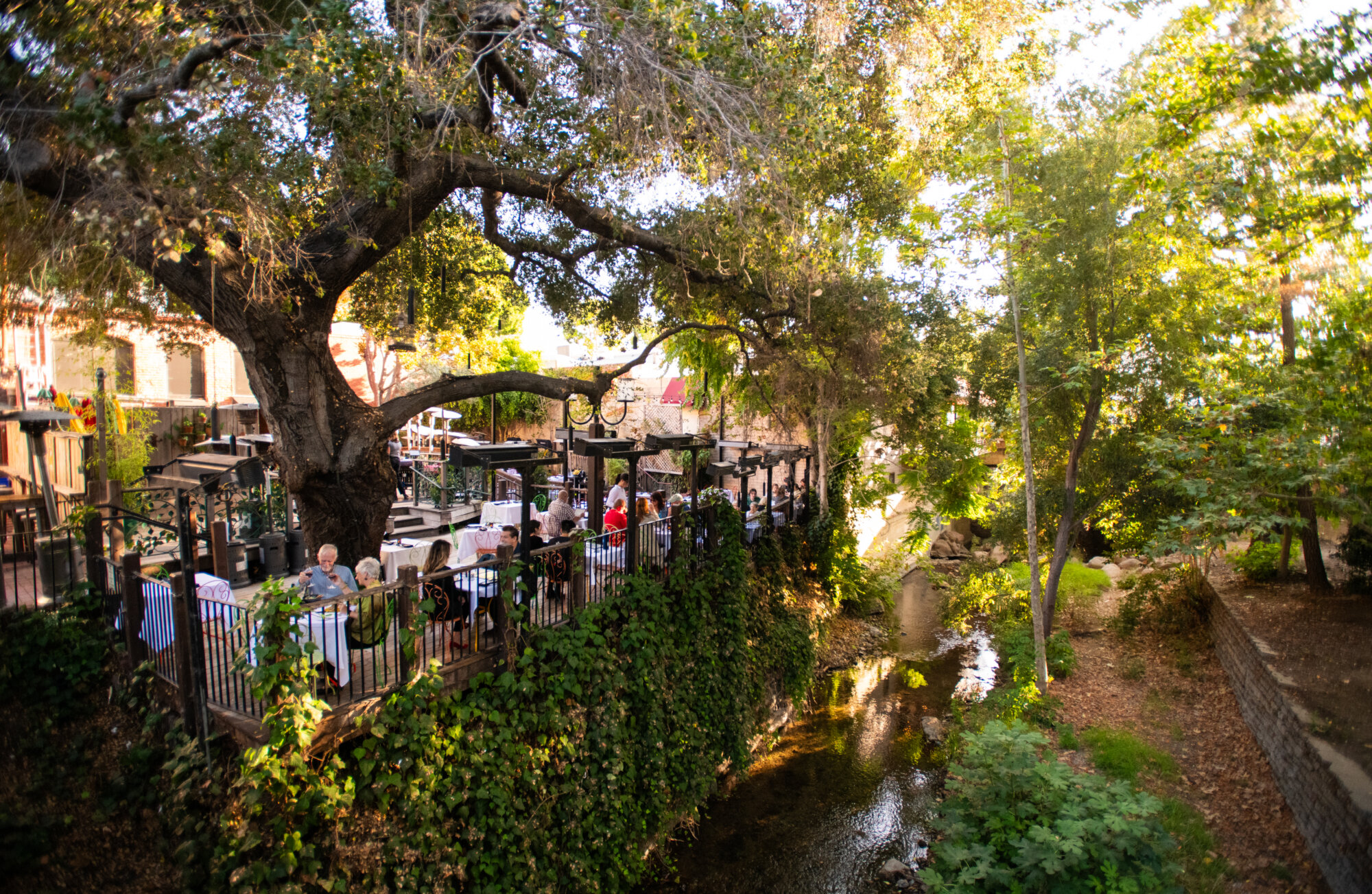 SLO Novo Creekside