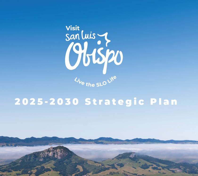 strategic plan cover