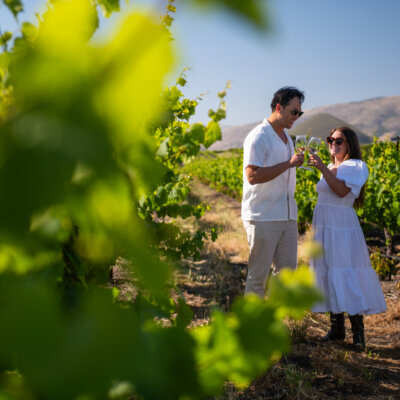 Couple in Vineyard