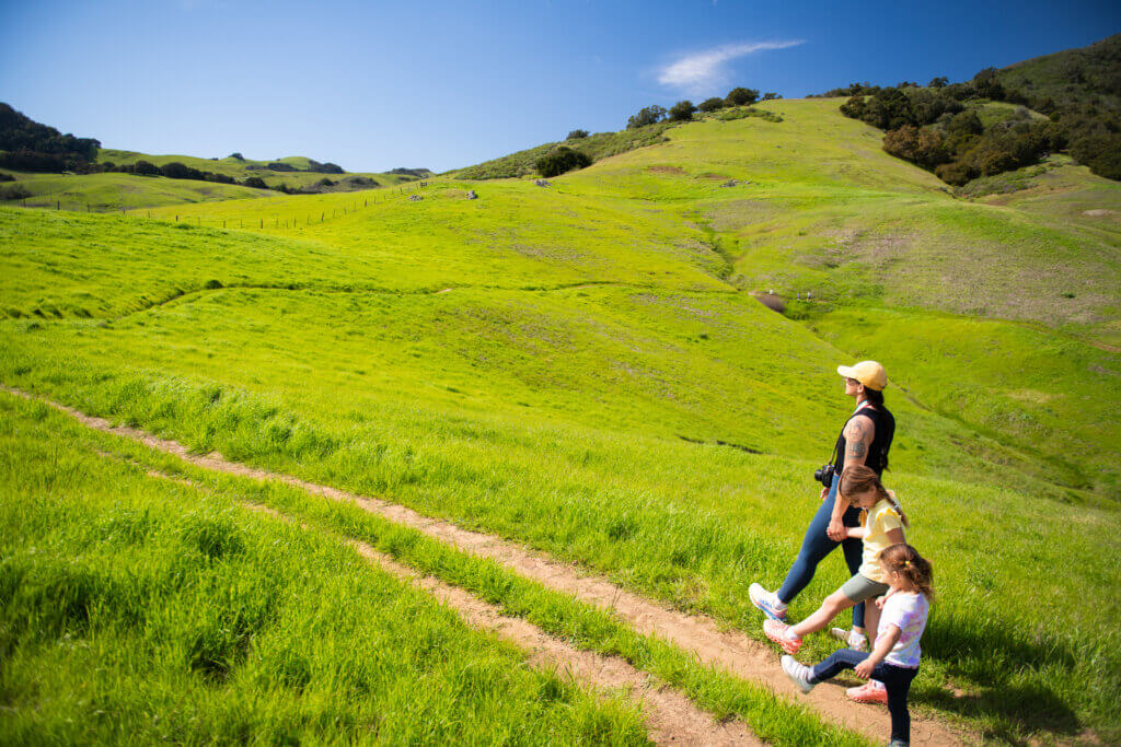 Family-friendly things to do in SL