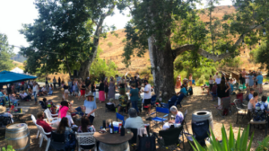 Rockin’ The Ranch: Jack Milstead Band