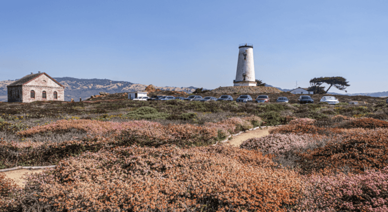 Libations at the Lighthouse