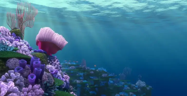 Finding Nemo