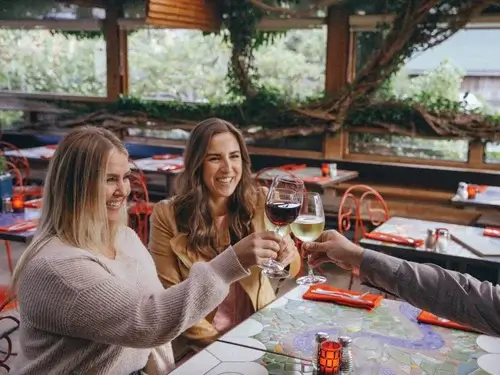 people clanking wine glasses