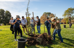 Celebrate Arbor Day at the Park & Plant Trees